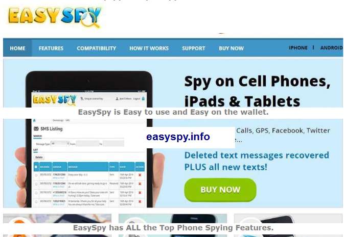 Picture of EasySpy website.